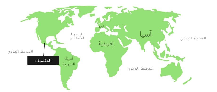 زِلْزَالٌ قَوِيٌّ يَضْرِبُ جَنُوبَ المَكْسِيكِ
